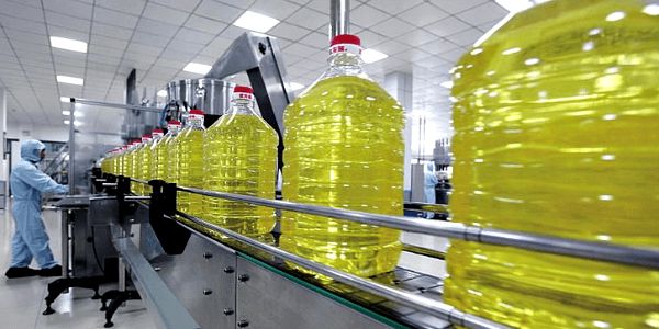 Vegetable Oils Project